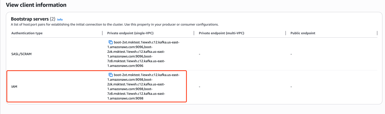 View client information — IAM private endpoint
