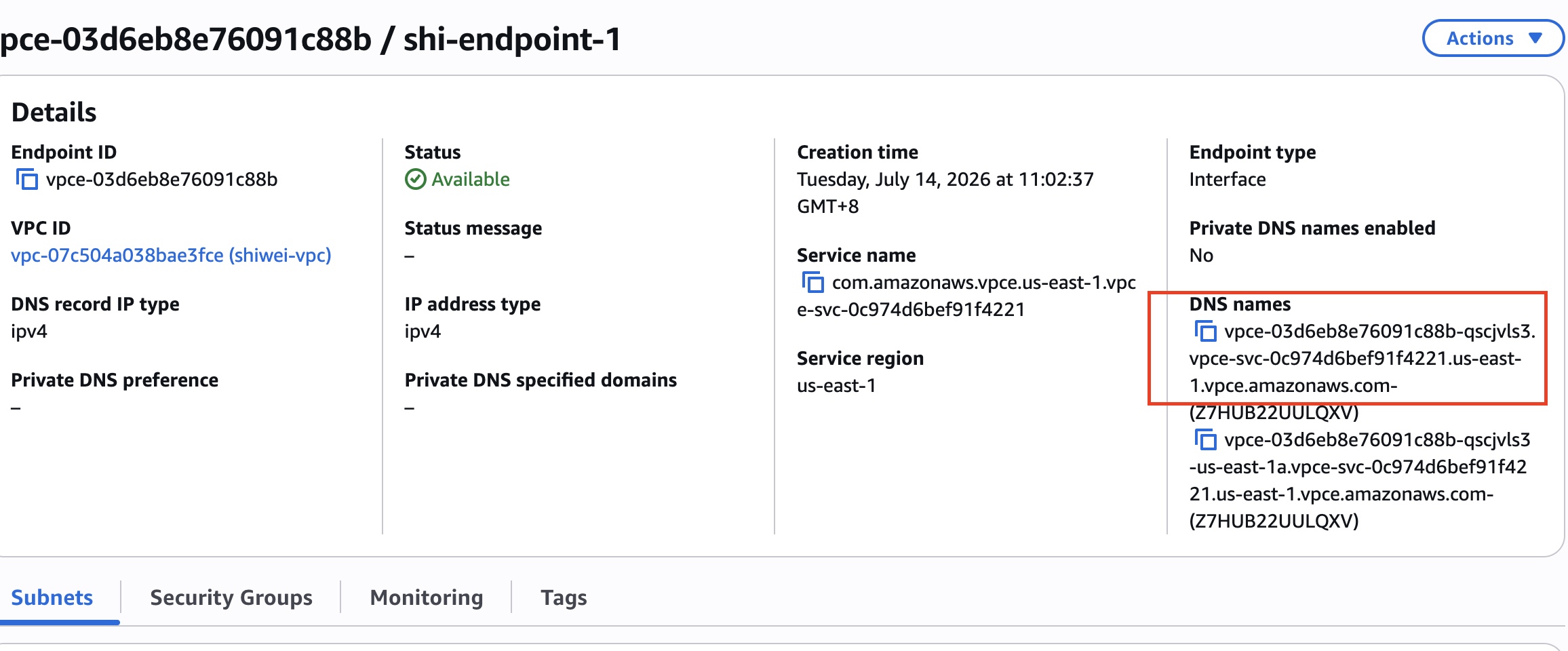 private link endpoint on aws details