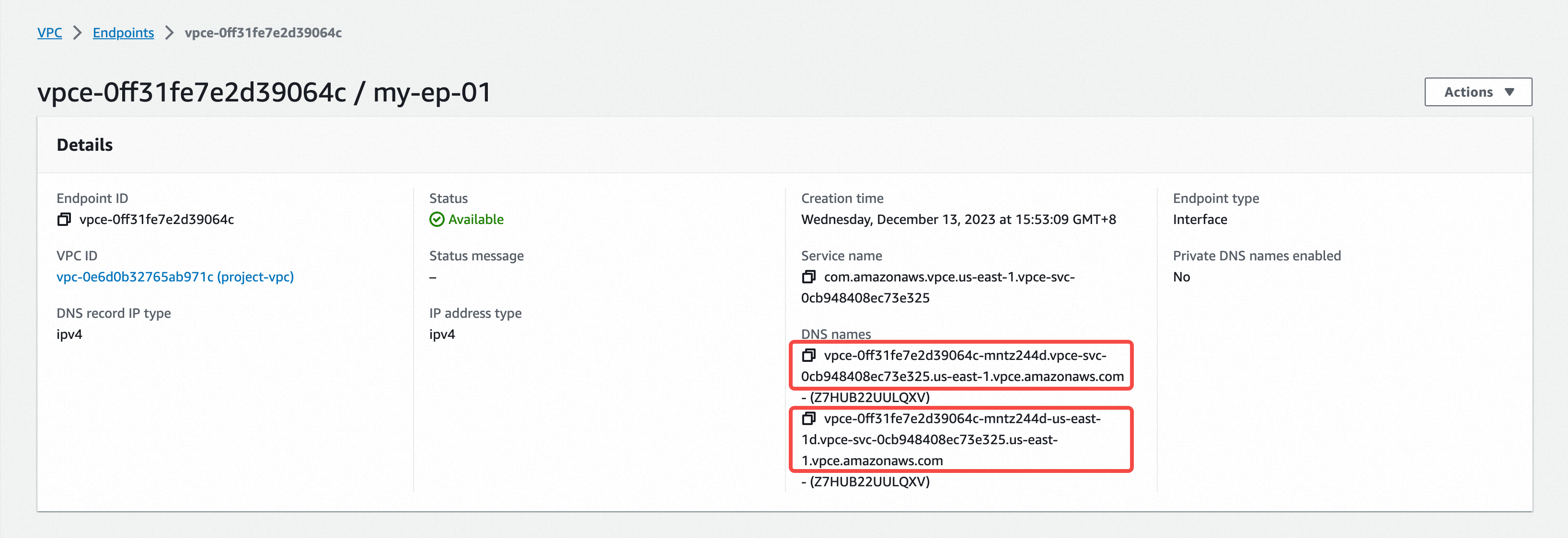 private link endpoint on aws details